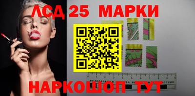 гидропоника Дубна