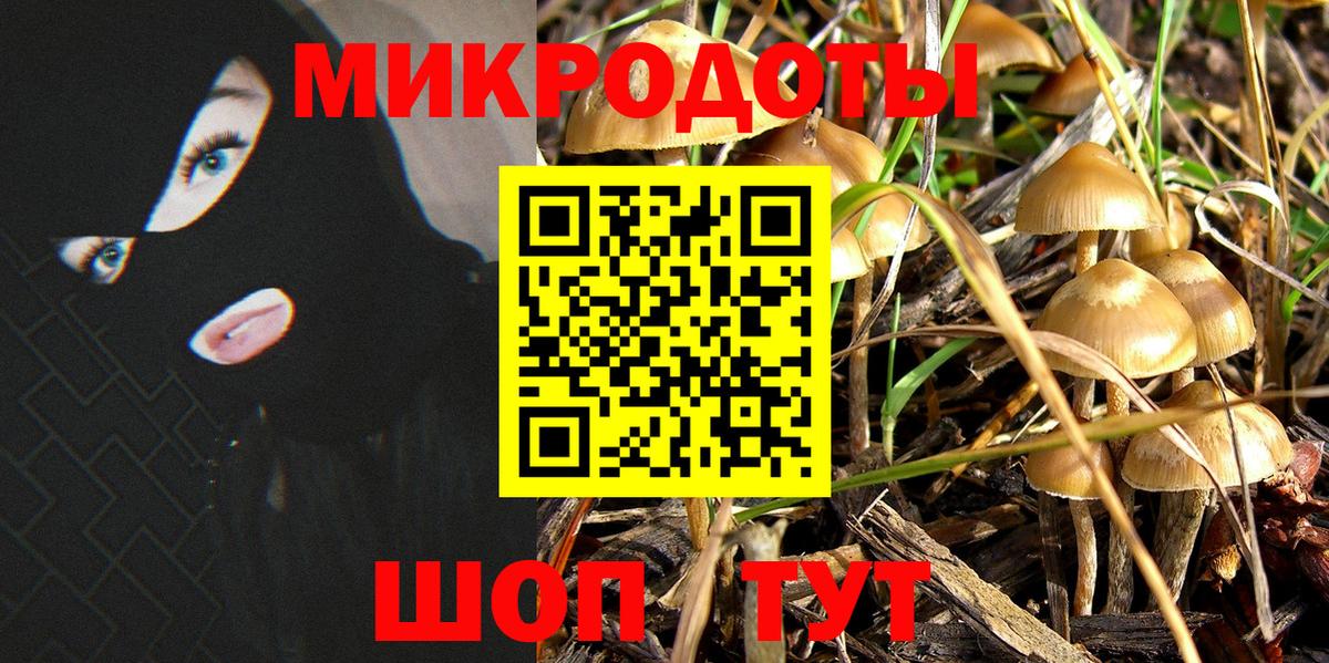 Псилоцибиновые грибы мухоморы  Сертолово 